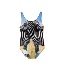 ǰ